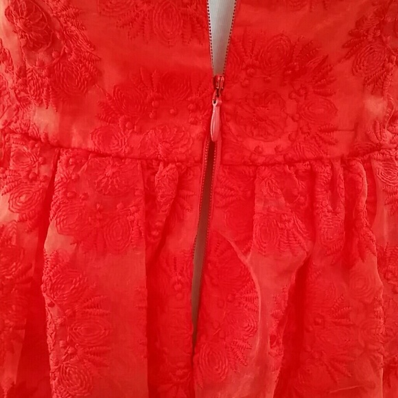 COPY - Zara Fantasy Lace Dress - Picture 4 of 4